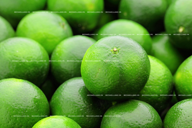 shutterstock_117322558