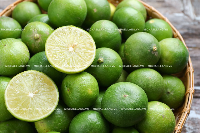 shutterstock_449555275