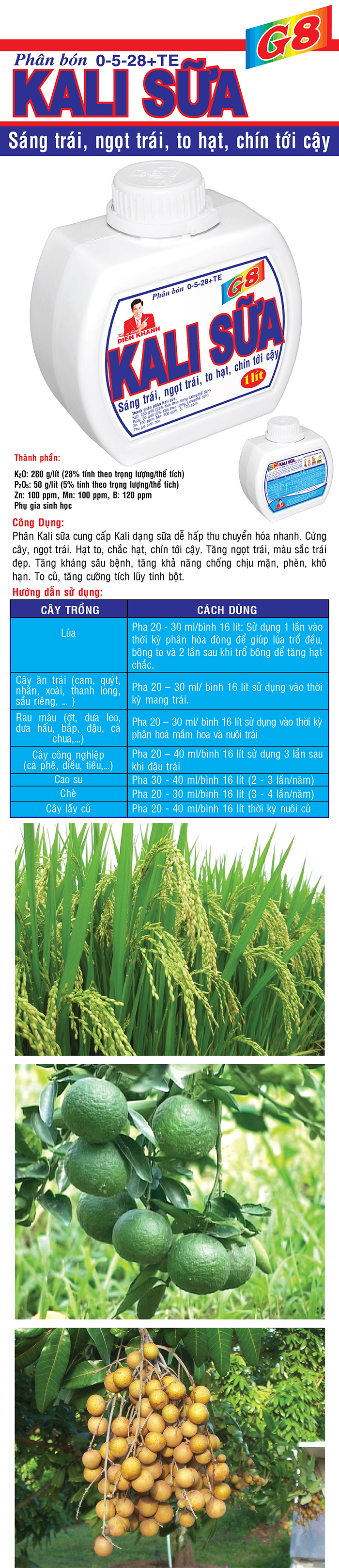 KALI SỮA G8